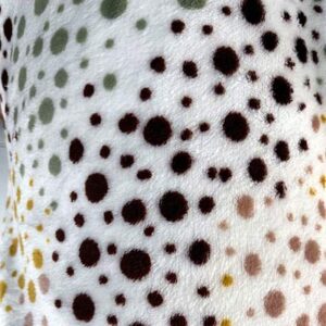 Coralina-300x300